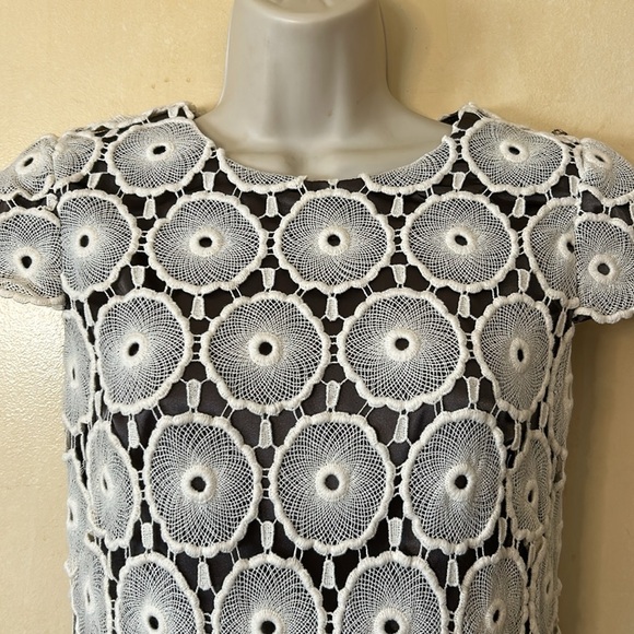 Suzi Chin for Maggie Boutique cream lace over brown long dress size 2P - Picture 2 of 11